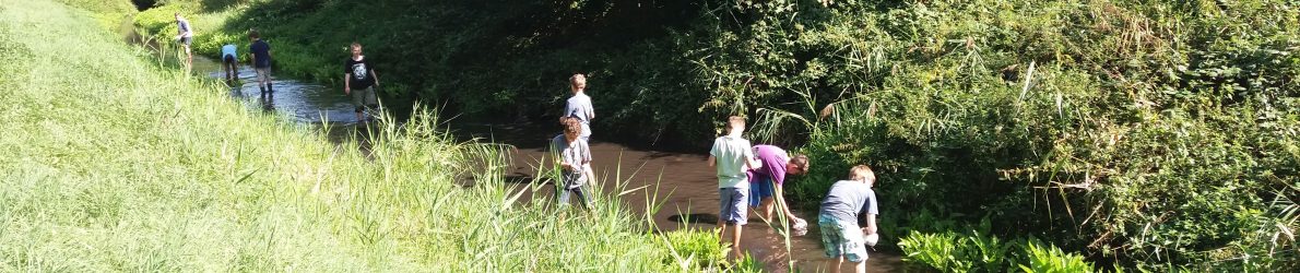 Schülerinnen und Schüler im bach